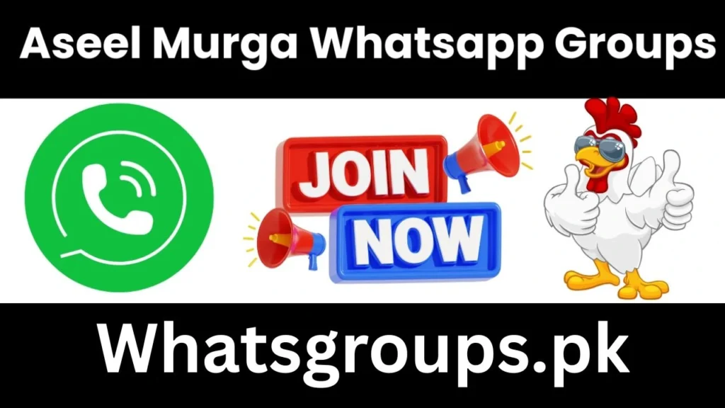 aseel murga whatsapp group link